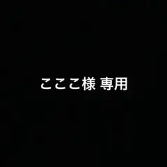 専用ページ