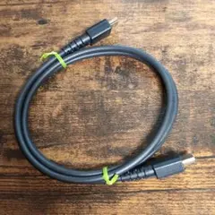Switch　ハイスピードHDMIケーブル 純正品