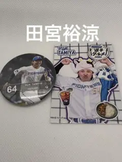 北海道日本ハムファイターズ　 田宮裕涼　缶バッチ　選手グルメトレカ　2点セット