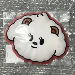 TXT プルバトゥ バムグッ おめん