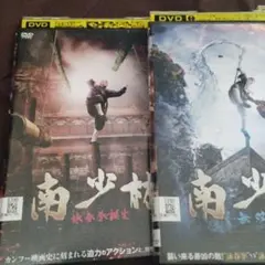 南少林 詠春拳誕生 無双伝 拳法の覚醒　DVD全巻セット　3枚セット　中国映画