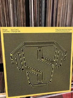 【レコード】Roger Sanchez/You Can't Change Me