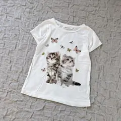 キッズ　Tシャツ　半袖　女の子　120 プリントTシャツ　猫　キラキラ　H&M