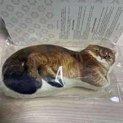 Item thumbnail for item fd71a3f6-81d0-4974-9c5d-252ea896f479