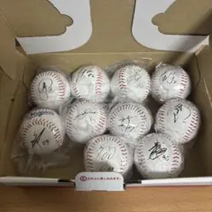 中日ドラゴンズ コレクションレプリカサインボール ガチャ まとめ売り