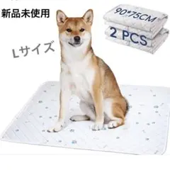 Item thumbnail for item aa1597b3-8137-4048-b1e3-1111eb7e5413