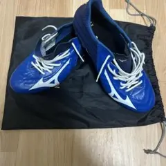 レビュラ3 JAPANブルー✖️ホワイト