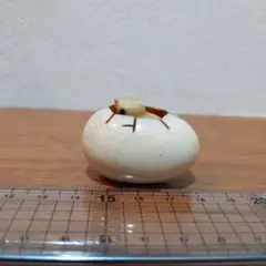 Item thumbnail for item e20607b4-d783-4120-97c8-91bd511732a3