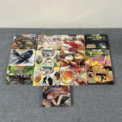子ども図鑑13個、SEGA、動物、昆虫、食べ物、パンなどミニ図鑑シリーズ⭐︎