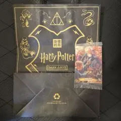 新品未開封　Harry Potter ハリーポッター カード　袋　セット
