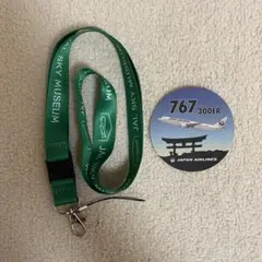 ANA ネックストラップ 767 30TH ANNIVERSARY Amazon.co.jp: ANA ネックストラップ 767 30TH ANNIVERSARY