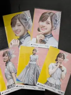 乃木坂46 白石麻衣 生写真「しあわせの保護色」5枚コンプ