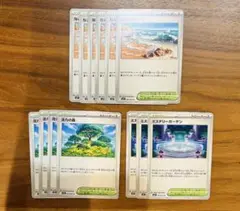 ポケモンカード 活力の森 なみのりビーチ ミステリーガーデン 13枚セット