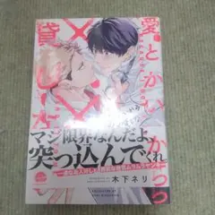 愛とかいいから××貸しな