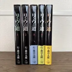 リュウの道 1〜5巻 文庫 全巻セット 石ノ森章太郎
