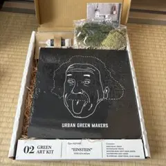 GREEN ART KIT "EINSTEIN"