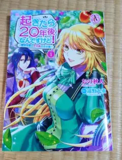起きたら20年後なんですけど！~悪役令嬢のその後のその後~　1巻