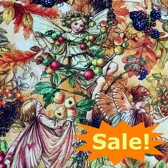 【特価】マイケルミラー*シシリーメアリーバーカー花の妖精ベリーフェアリー45