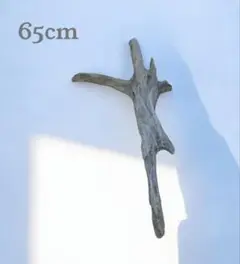 Item thumbnail for item ff488509-767e-4485-bb51-6b5d90d04957