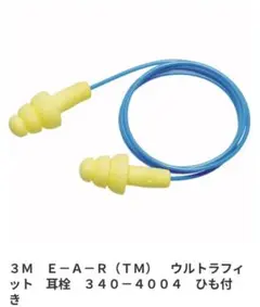 Item thumbnail for item 676a1fe8-3c52-4997-968d-3263af2d13b7