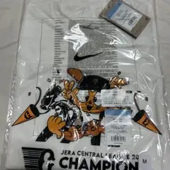 Item thumbnail for item d67b3eac-a7cf-4a78-a2ae-8216cd89574a