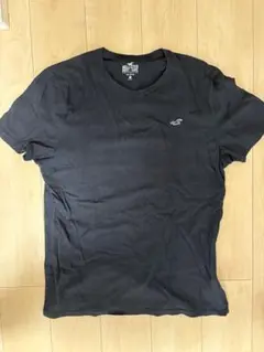 HOLLISTER ワンポイントTシャツ