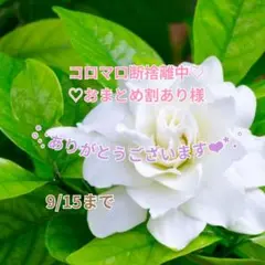 コロマロ断捨離中♡♡おまとめ割あり様 おまとめパーツ(˘͈ᵕ ˘͈ *)♡