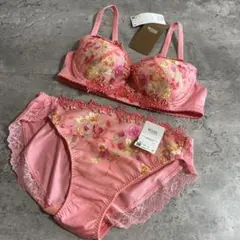 新品　ワコール　ウイングレシアージュ　ブラジャーショーツセット　B70