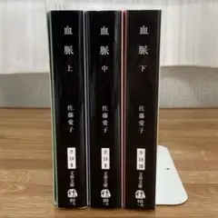 血脈 上中下 文庫版　3巻セット　佐藤愛子