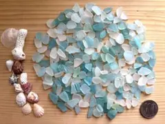 ✳️天然シーグラス 豆☆mini☆ ミニ貝のオマケ付き☆✳️