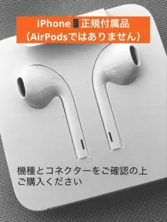 Apple iPhone正規付属品イヤホン　ライトニング端子