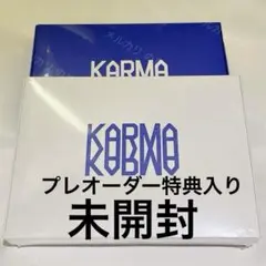未開封 StrayKids KARMA 通常盤 2種