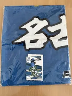 日本ハムファイターズ ビジター応援データオル 名古屋で輝けファイターズ カード付