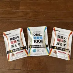 2025年最新】モヤセル乳酸菌2袋の人気アイテム - メルカリ