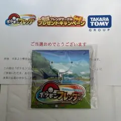 ★新品未使用・未開封★　ポケモンフレンダ　ロゴキーホルダー(500個限定品)