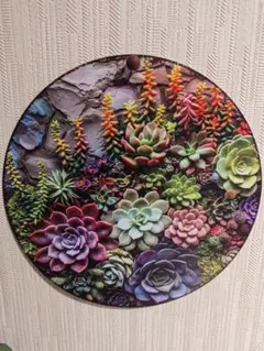 メタルウォールアート 多肉植物