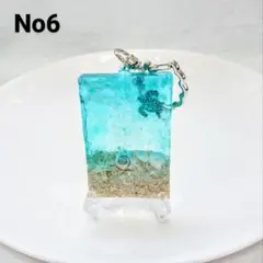 小さな海 海亀 サンゴ砂 ヒトデ No6