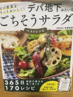 宝島社 デパ地下みたいなごちそうサラダ ／北嶋佳奈