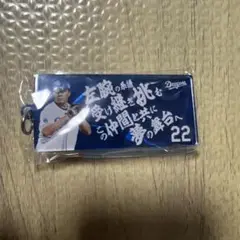 中日ドラゴンズ　応援歌キーホルダー　大野雄大