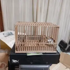 メジロかご