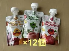 スムージーレンジャー　12個セット