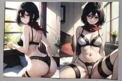 ER-249ブロマイド２枚セットNo.959