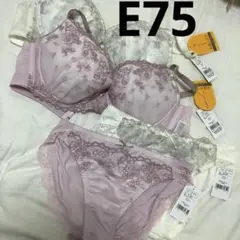 Item thumbnail for item 70a7fc49-e4c3-43ed-8c39-653f0fb59ed1