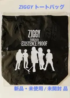 ZIGGY トートバッグ：TOUR2020 EXISTENCE PROOF