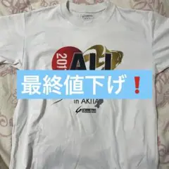 Item thumbnail for item 017611ba-ba0d-42eb-91ae-dd245c5c807c