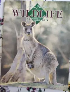 Australia WILDLIFE オーストラリア　ワイルドライフ　写真集