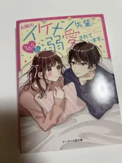 お隣のイケメン先輩に、365日溺愛されています。 恋愛小説