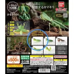 未開封 いきもの大図鑑 かまきり04 ナンベイマルムネカマキリ（ライト）