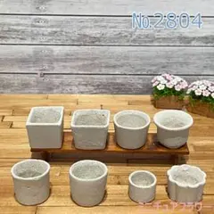№2804　ミニチュアの鉢植え　8点　訳アリ品