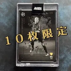 【10枚限定】 シェフチェンコ TTF 《Silverware》